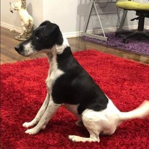 Meet your Posher, Laura